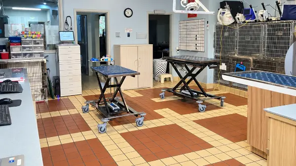 Open treatment area with tiled floor, two lift tables, cabinets and kennels at the back