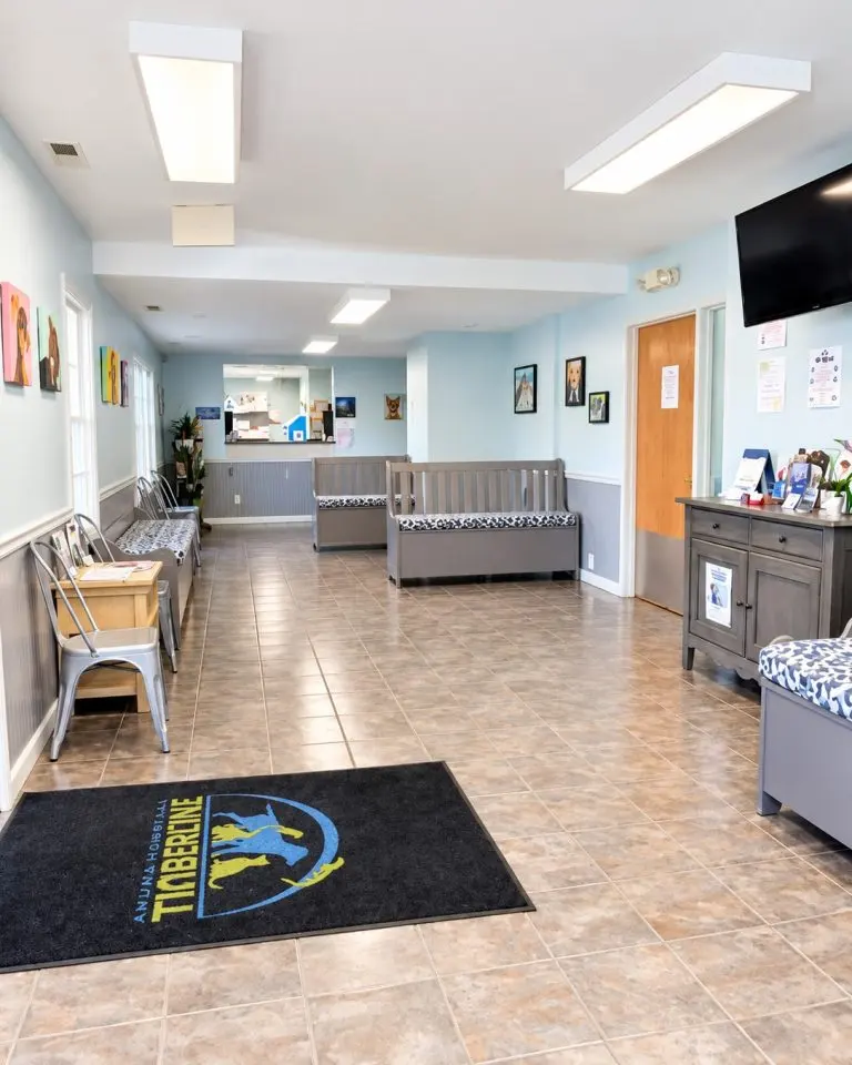 Bright waiting room with benches, chairs, a tiled floor, a black welcome mat and a reception counter at the back