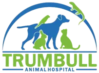Trumbull Animal Hospital, home